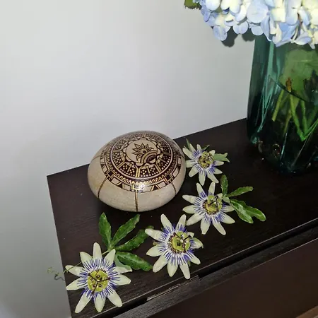 El Muelle Roto Cangas do Morrazo