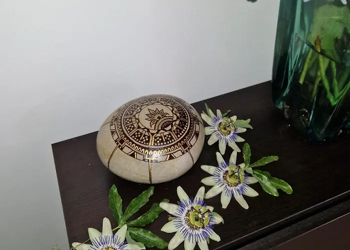 El Muelle Roto Cangas do Morrazo