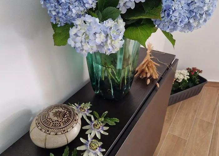 Daire El Muelle Roto *